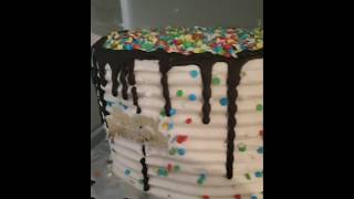 VANILLA AND CHOCOLATE CAKE WITH MASCARPONE FROSTING shorts viralvideo trending food cake [upl. by Oakman]