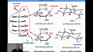 Medpathwaycom MCAT Test Prep Biochemistry of Glycogen Metabolism with Hormonal Regulation [upl. by Korns165]