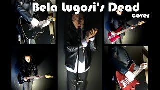 Bauhaus  Bela Lugosis Dead  Cover [upl. by Arriet]