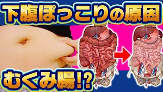 【下腹絞り】ぽっこりお腹が劇的に変わるむくみ腸からスッキリ腸🔥【お腹痩せダイエット】 [upl. by Rhyne]