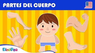 Partes del cuerpo 🖐🏻🦶🏻💪🏻 VOCABULARIO en INGLÉS para NIÑOS  Parts of the Body  DinoPeq🦖 [upl. by Goldsmith]