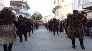 MAMOIADA  CARNEVALE 2022  ESIBIZIONE MAMUTHONES GRUPPO ATZENI  BECCOI [upl. by Nesral]