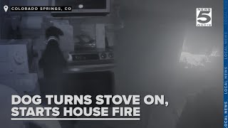 RAW VIDEO Curious pup starts house fire after turning on stove [upl. by Aline]