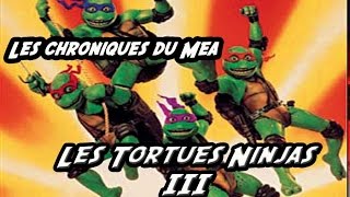 Les Tortues Ninjas 3 1993  Les Chroniques du Mea [upl. by Geri97]