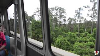 Transportation and Ticket Center Monorail to Epcot [upl. by Egiap531]