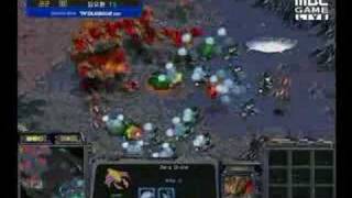 Boxers goL micRo vs sAviOrs mass mutas [upl. by Ueihtam951]