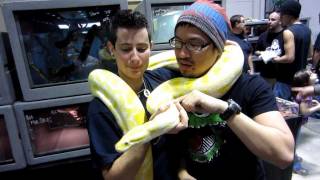 REPTILE SUPER SHOW PART 1 [upl. by Aliwt576]