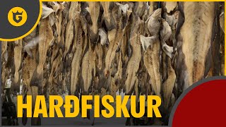 How Its Made Traditional Icelandic Dried Fish [upl. by Reisch443]