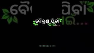 Tamo sathe bandhu odia status video [upl. by Yrekcaz]