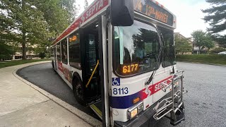 SEPTA 2006 New Flyer D40LF 8113 On Route 124 [upl. by Renwick]