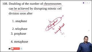 Doubling of the number of chromosomes can be achieved by disrupting mitotic cell division soon after [upl. by Marris]