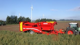 GRIMME SV 260  trailed Potato Harvester [upl. by Oleic127]