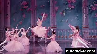 Spring is in the Air – Nutcracker Magic of Christmas Ballet Waltz of the Flowers [upl. by Halac]