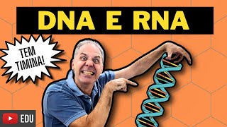 DNA E RNA  ÁCIDOS NUCLEICOS  BIOQUÍMICA com o Prof Hilton Ciência Traduzida [upl. by Ennaeel]