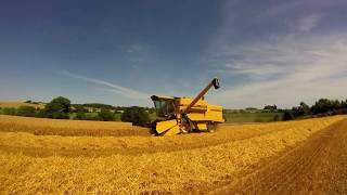 New Holland Tx 34 Combine Harvester Gopro [upl. by Gersham]