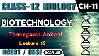 BIOTECHNOLOGY I L12 I BIOTECHNOLOGY AND ITS APPLICATION I CLASS13I NEETCBSEState Board [upl. by Erlene]