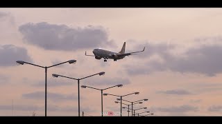 Buenos Aires  Aterrizaje y despegue Flybondi en Aeropuerto El Palomar [upl. by Annoda]