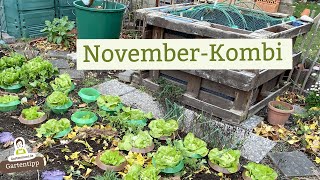 Gartenarbeiten amp Rundgang im November [upl. by Steinberg]