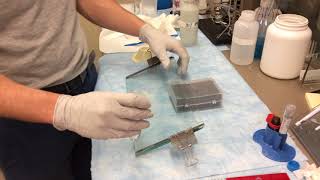 Preparing a urea polyacrylamide gel [upl. by Maurita151]