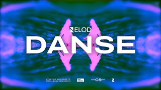 Nelod  Danse Lyrics Vidéo [upl. by Cleres]