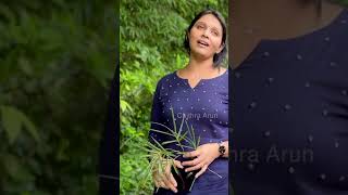 Varuvanillarumee  Manichitrathazhu Rerelease Cover by Chithra Arun music cover malayalam [upl. by Annairdua]