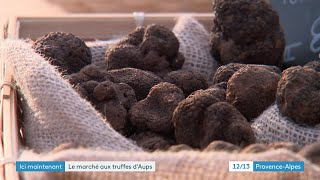 Direction Aups et son célèbre marché de la truffe [upl. by Ahrendt]