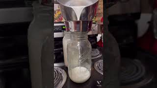 Pasteurizing Goat Milk 🐐step by step details in description [upl. by Aninat434]