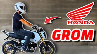 Honda Grom TestRideReview  Watch this BEFORE you BUY a 125cc Beginner Bike [upl. by Mccowyn]