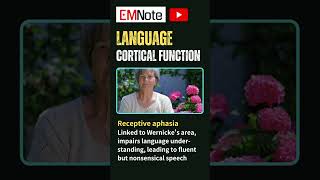 Aphasia Language Dysfunction [upl. by Usanis]