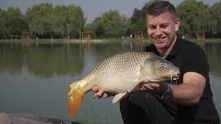 A PVA bagezés mesterfogásai  Advanced PVA Bag Fishing Tutorial [upl. by Nahtanod]