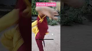 4 Kick Combo shorts [upl. by Ful]