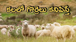 Kalalo Gorre Kanipisthe  Sheep In Dreams  Kalalu Vati Phalithalu  Laxmi Devotional [upl. by Bernice]