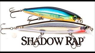 Rapala Shadow Rap [upl. by Frederique124]