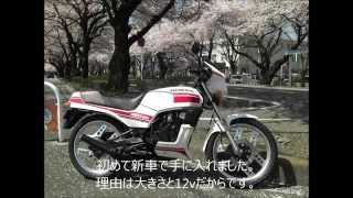 2014 桜とHONDA MBX50 Sakura and MBX 50 [upl. by Amando]