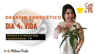 Dia 4 Desafio Limpeza Energética 7 dias Traga Vida e Energia pro Seu Ambiente Pedras e Plantas [upl. by Aivilys]