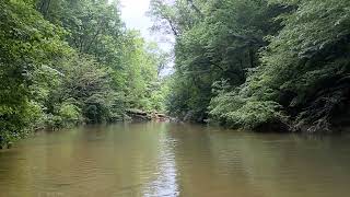 Sipsey Fork in Sipsey Wilderness [upl. by Rinna878]