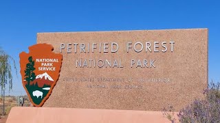 Day Trip to Petrified Forest National Park [upl. by Lasyrc]