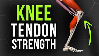 Build Knee Tendon Strength in 5 Minutes [upl. by Anilek]