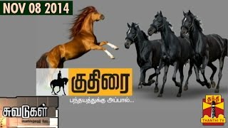 Suvadugal  A documentary on horse riding in Tamil Nadu08112014  Thanthi TV [upl. by Navak]