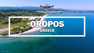 🎬 Oropos  Greece ✈ Drone [upl. by Auqemahs]