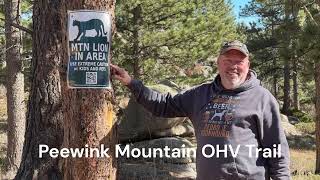 Peewink Mountain Off Road Trail Colorado [upl. by Ydnat739]