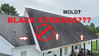 Black streaks on roof what are they and can I get rid of them [upl. by Savanna429]