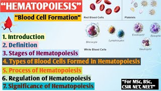 Hematopoiesis  Formation of blood  Erythropoiesis  Hematopoiesis MSc zoology Hindi notes [upl. by Retsevlys766]