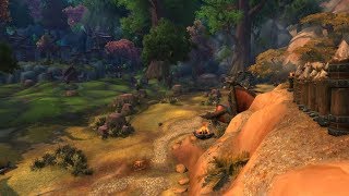 WoW Then and Now Warsong Gulch [upl. by Idnak]