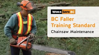 BC Faller Training Standard  Chainsaw Maintenance 3 of 17 [upl. by Vetter]