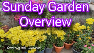 Sunday Garden Overview of January [upl. by Nyltiac]