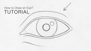 How to draw an eye from any angle for BEGINNERS Basic proportions  EASY [upl. by Ashely]