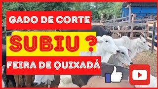 PREÇO DO GADO ATUALIZADO 2024🚨 FEIRA DE QUIXADÁ  JAN24🚨gadoboifeira vacanordestepreçodogado [upl. by Walworth]