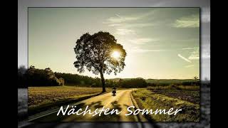 Matthias Reim  Nächsten Sommer [upl. by Rehoptsirhc888]