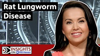 Rat Lungworm Disease What You Should Know  INSIGHTS ON PBS HAWAIʻI [upl. by Itsim]